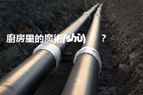 廚房里的魔術(shù)？家用洗菜廢水也能變廢為寶！